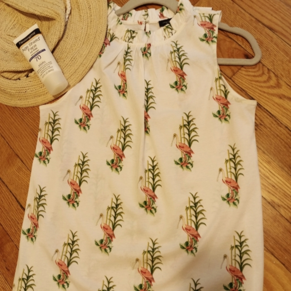 Ann Taylor sleeveless flamingo top xs
